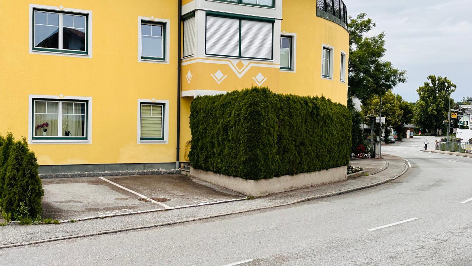 Naturparadies Salzburg-Land Seekirchen am Wallersee Zewnętrze zdjęcie